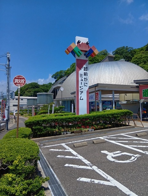 250605124001031.JPG