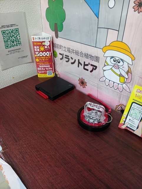 250605125246903.JPG