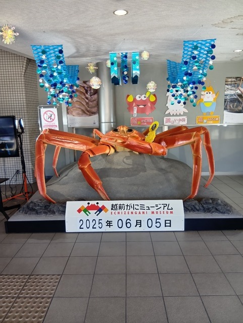 250605125444033.JPG