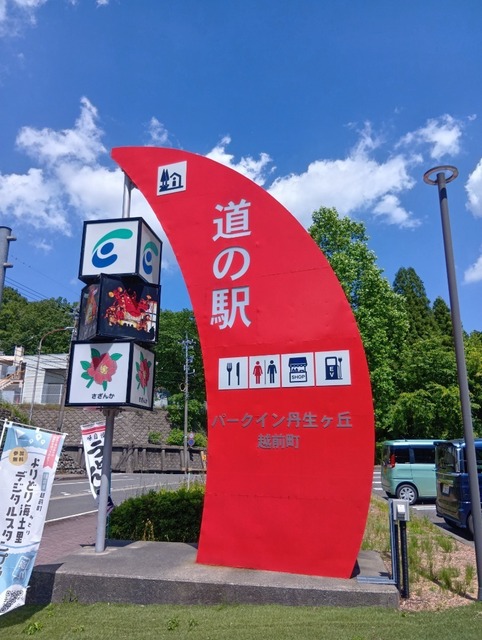 250605133314168.JPG