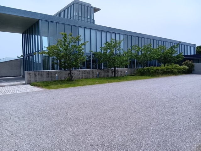 250608124825684.JPG