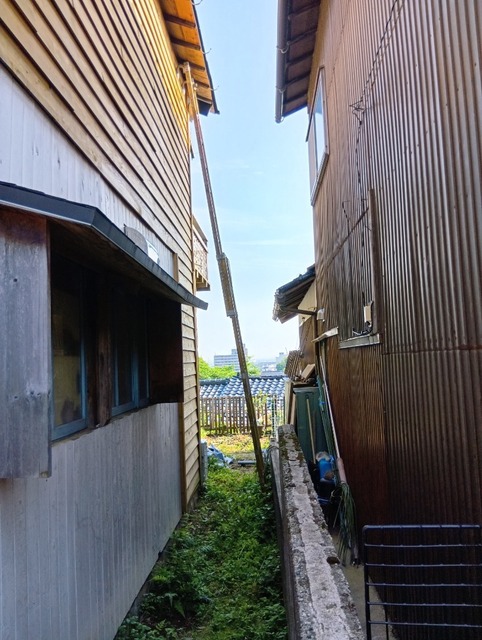250609074411657.JPG