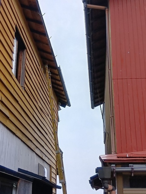 250609135137468-03202.JPG